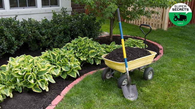 Maintaining a Great Yard with Less Effort