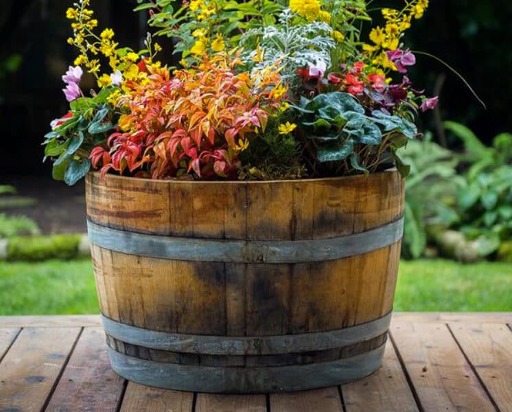 Plant a Few Edible and Decorative Containers for Fall - Vermont Maturity