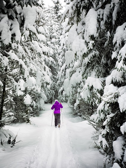 Vermont Cross-Country Skiing