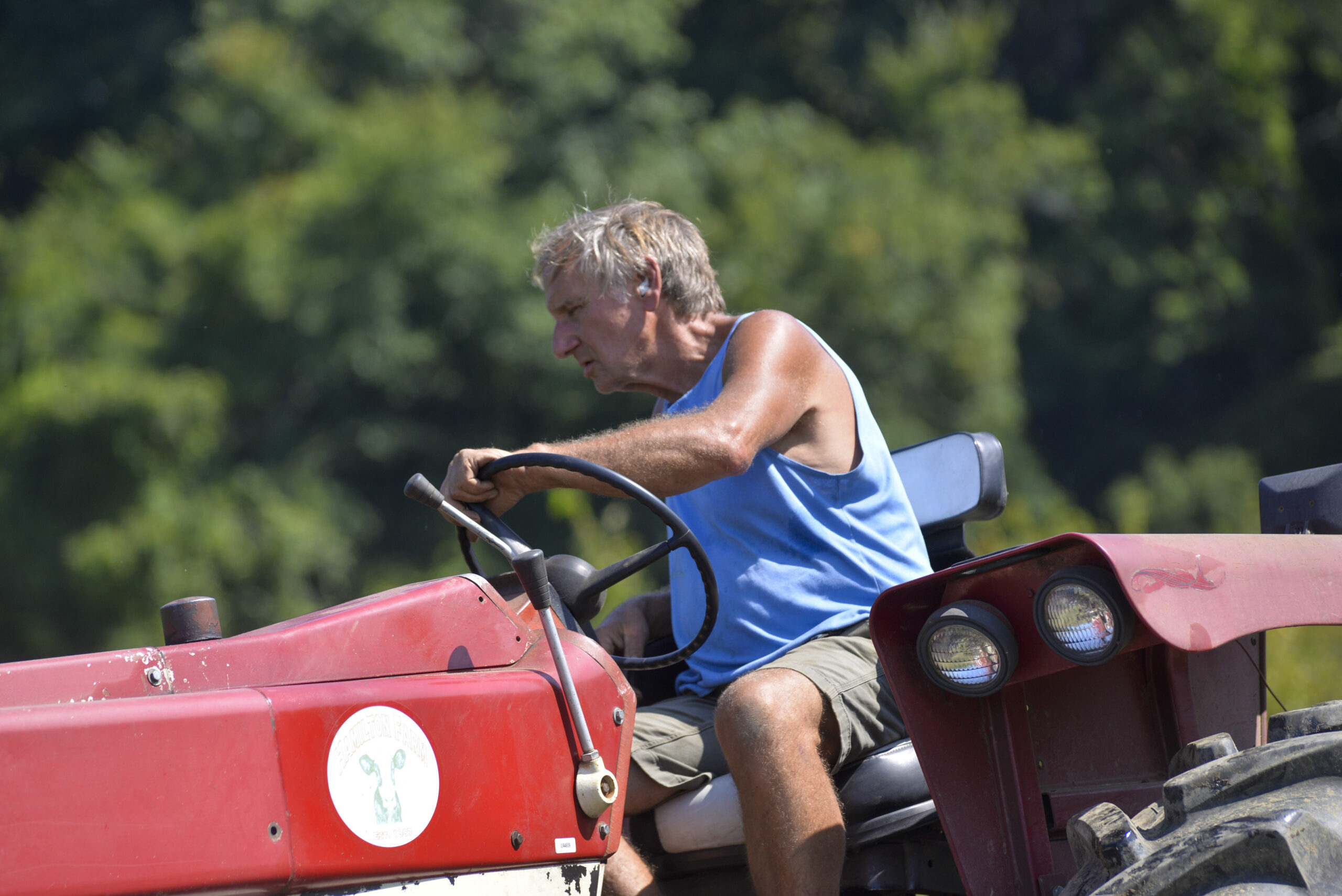 A crew from Hamilton Farm in West Brattleboro on Monday, Sept. 16, 2024, spends roughly a week harvesting corn from a 20-acre field next to the West River. Photo by Kristopher Radder.