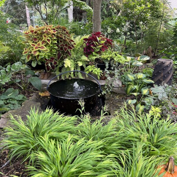 Creating and caring for shade gardens