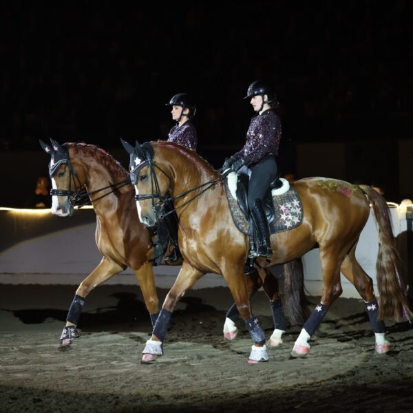 New England’s Ultimate Equestrian Getaway: Fun, Hands-On and Family-Friendly Experiences Await at Equine Affaire!
