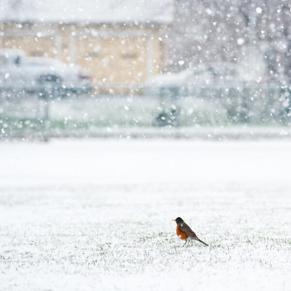 Buy the Pass: Why Vermont’s Coldest Days Are Exactly When We Need to Keep Going